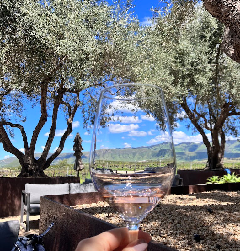 Biddle Ranch Vineyard Best Views | TheCentralCoast.com