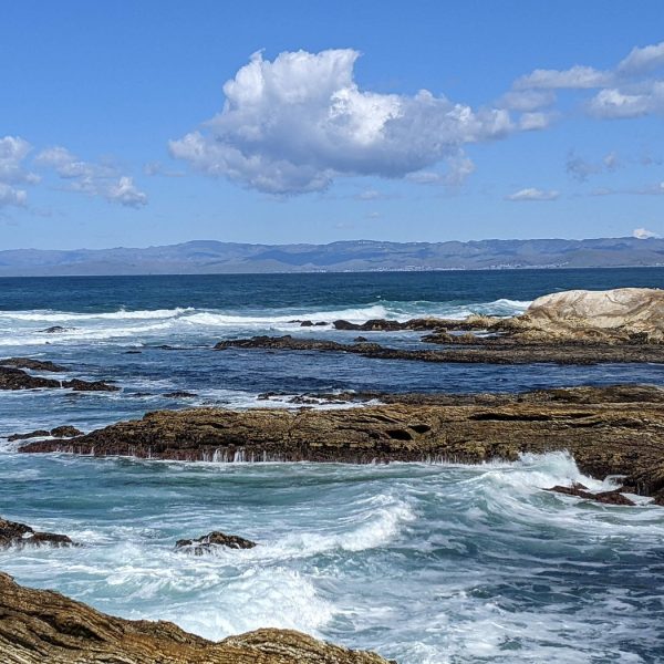 Bluff Trail – Fiscalini Ranch Preserve | TheCentralCoast.com