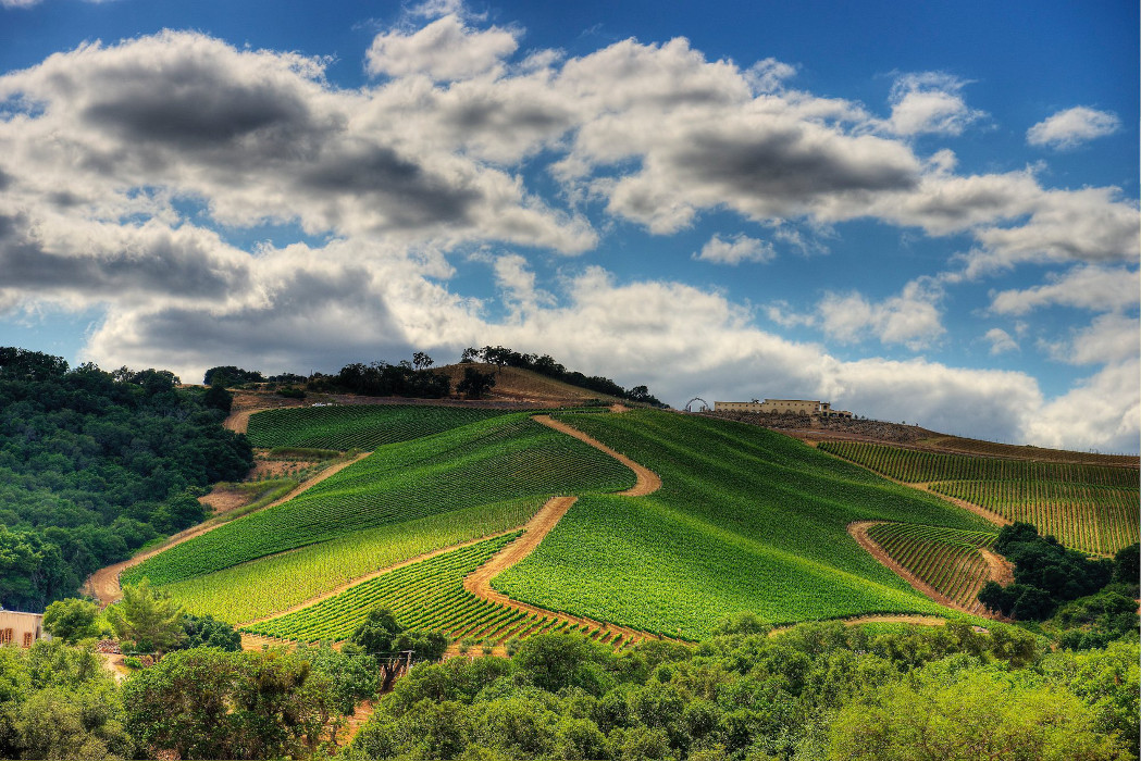 Daou Vineyards & Winery Best Views | TheCentralCoast.com