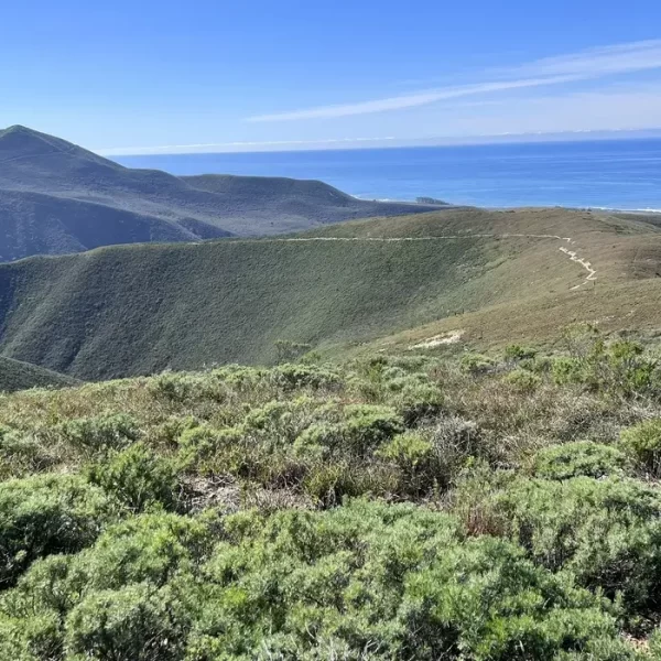 Hazard Peak Hiking Trail | TheCentralCoast.com