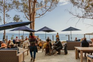Hearst Ranch Winery | TheCentralCoast.com