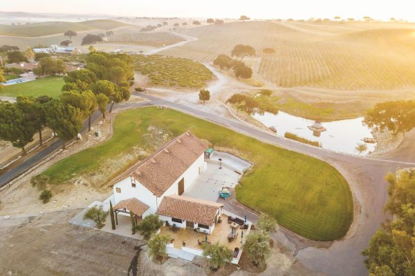 Aerial view of a farmhouse at sunset, nestled amid green lawns, trees, winding roads, a pond, and vineyard-covered hills near Hearst Ranch Winery. TheCentralCoast.com