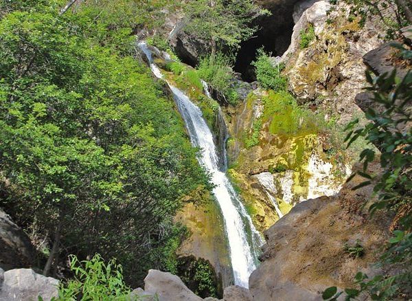 Salmon Creek Falls Trail | TheCentralCoast.com