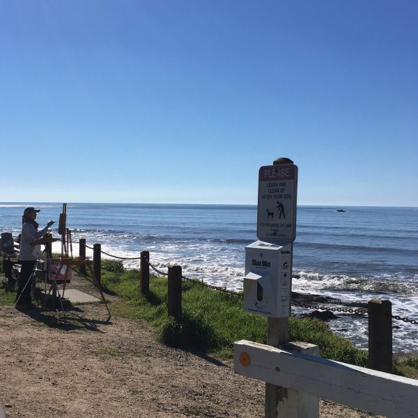 Shell Beach Hiking Trail | TheCentralCoast.com