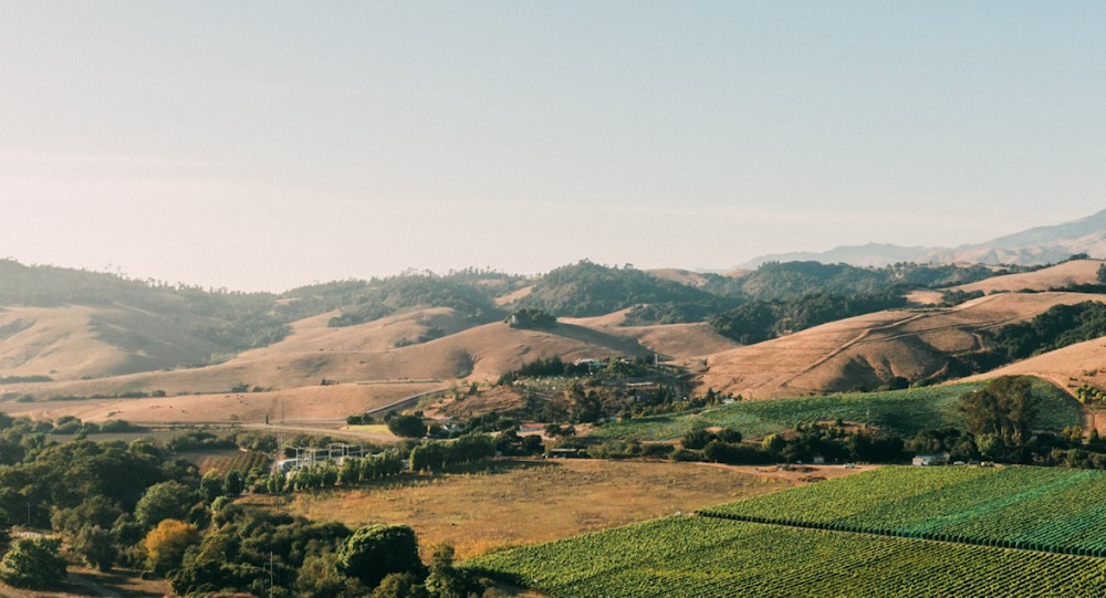 Stolo Vineyards Best Views | TheCentralCoast.com