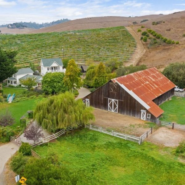 Stolo Vineyards | TheCentralCoast.com