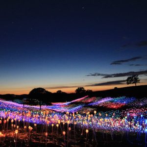 Sensorio Field Of Light | TheCentralCoast.com