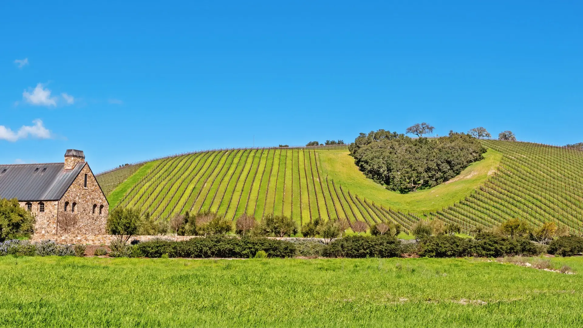 Things To Do In Paso Robles - The Central Coast