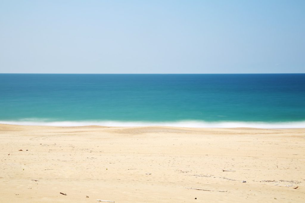 Manresa State Beach