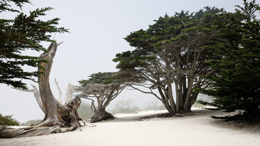 La Playa Carmel