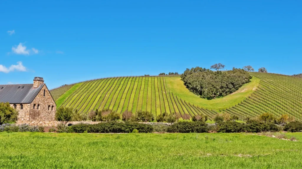 Things To Do In Paso Robles
