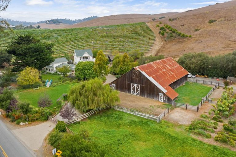 Stolo Vineyards