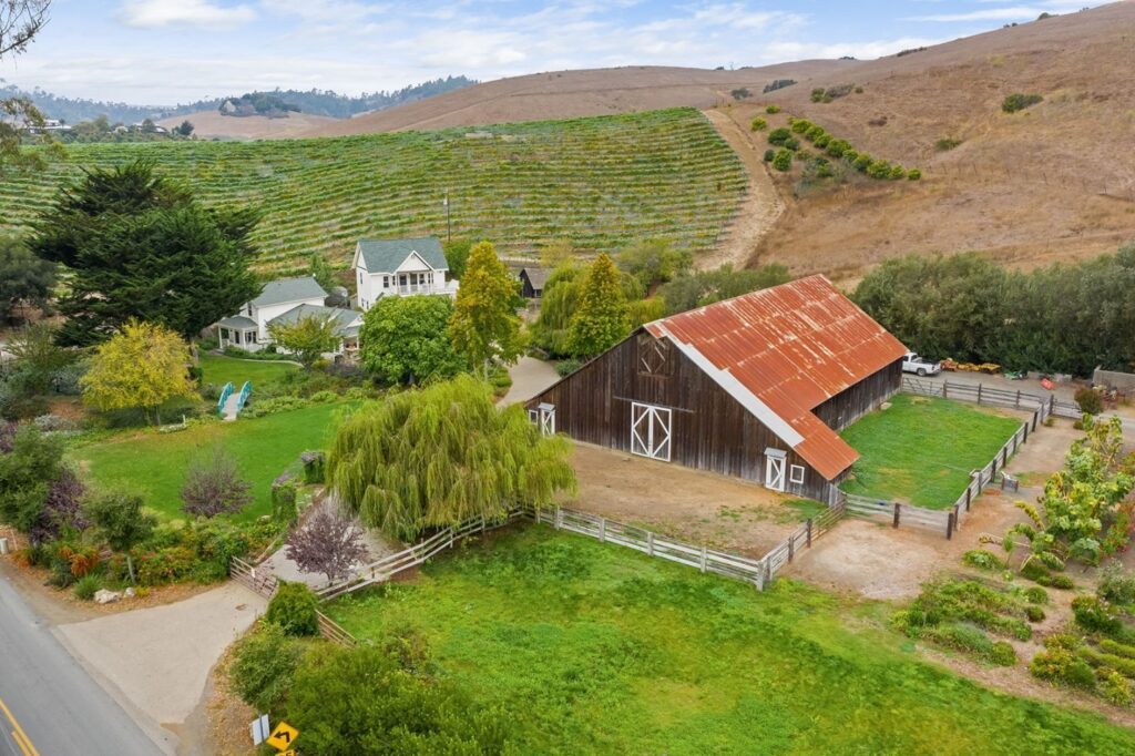 Stolo Vineyards