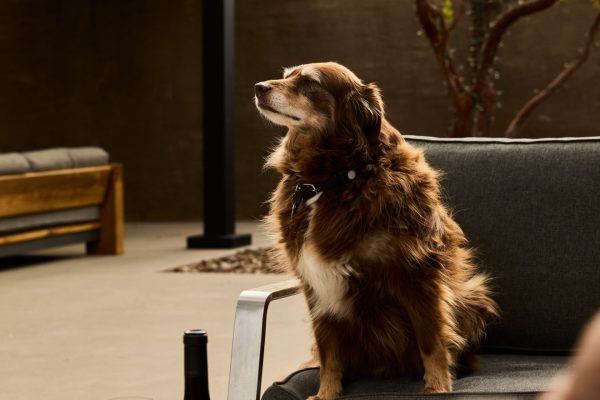 Brecon Estate Winery | TheCentralCoast.com